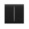 Ajax CENTERBUTTON-2GANG-BLACK