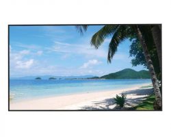 Dahua LM55-S400 Monitor
