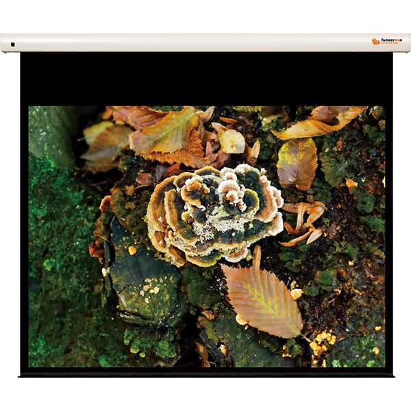 FUNSCREEN PREMIUM PLUS Vetítővászon