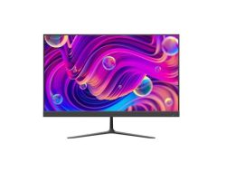 Hikvision DS-D5024F2-BV2S Monitor