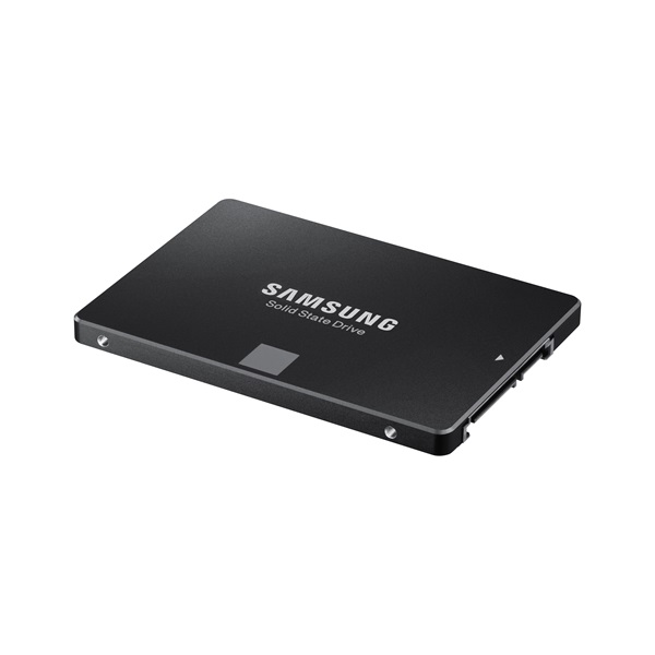 SAMSUNG 2.5" SSD SATA III 1TB Solid State Disk